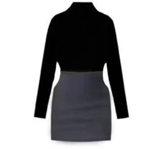 Chic and Modern Two-Tone Mini Dress